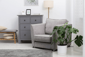 Home staging and decluttering preparation